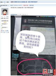 沙河网最新爆料消息新闻,最新重大新闻事件深度解析